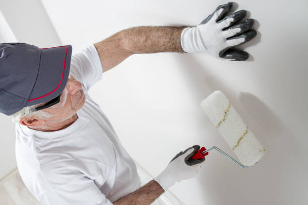 Best Crawl Space Mold Remediation  in Amsterdam, NY