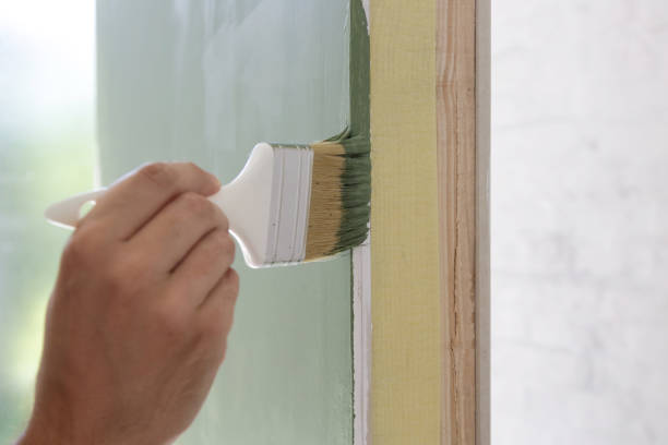 Best Basement Mold Removal  in Amsterdam, NY