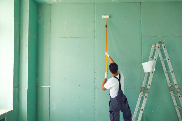  Amsterdam, NY Mold Removal Pros
