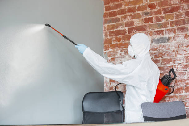 Best Mold Odor Removal Services  in Amsterdam, NY