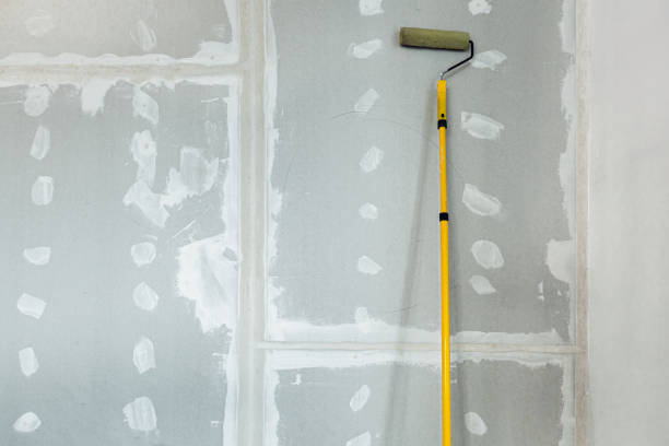 Best Emergency Mold Remediation  in Amsterdam, NY
