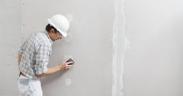 Best Industrial Mold Remediation  in Amsterdam, NY