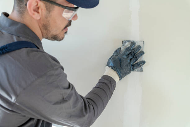 Trusted Amsterdam, NY Mold Removal Experts