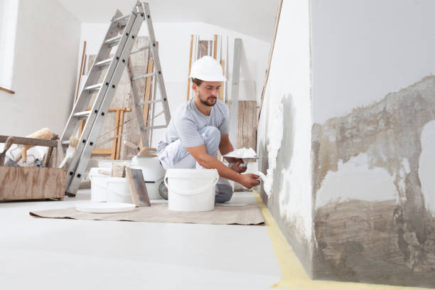 Best Real Estate Mold Inspection  in Amsterdam, NY