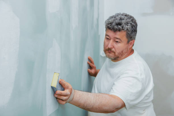 Best Mold Documentation for Insurance Claims  in Amsterdam, NY