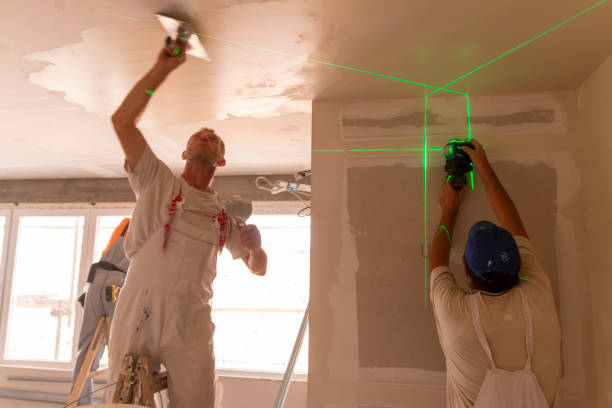 Best Black Mold Removal  in Amsterdam, NY