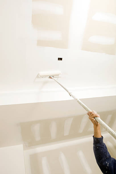 Best Commercial Mold Inspection  in Amsterdam, NY
