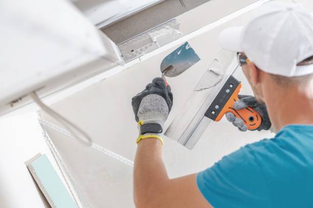 Best Air Quality Testing for Mold Spores  in Amsterdam, NY